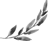 Painted Myrtle Branch