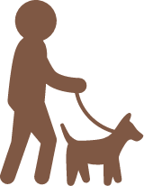 Dog Walker