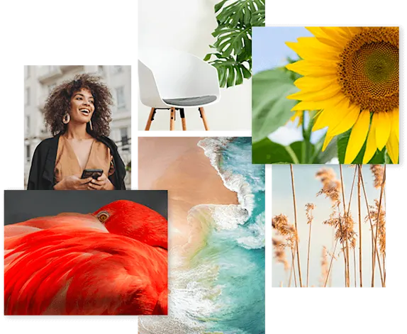 See our stock photos