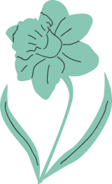 Daffodil Stem