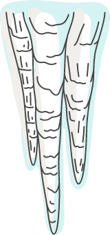 Wrinkled Icicles